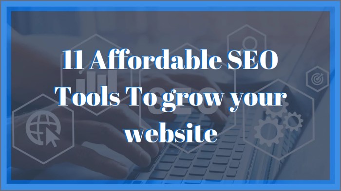Best Seo Tools For Beginners To Grow Website Traffic